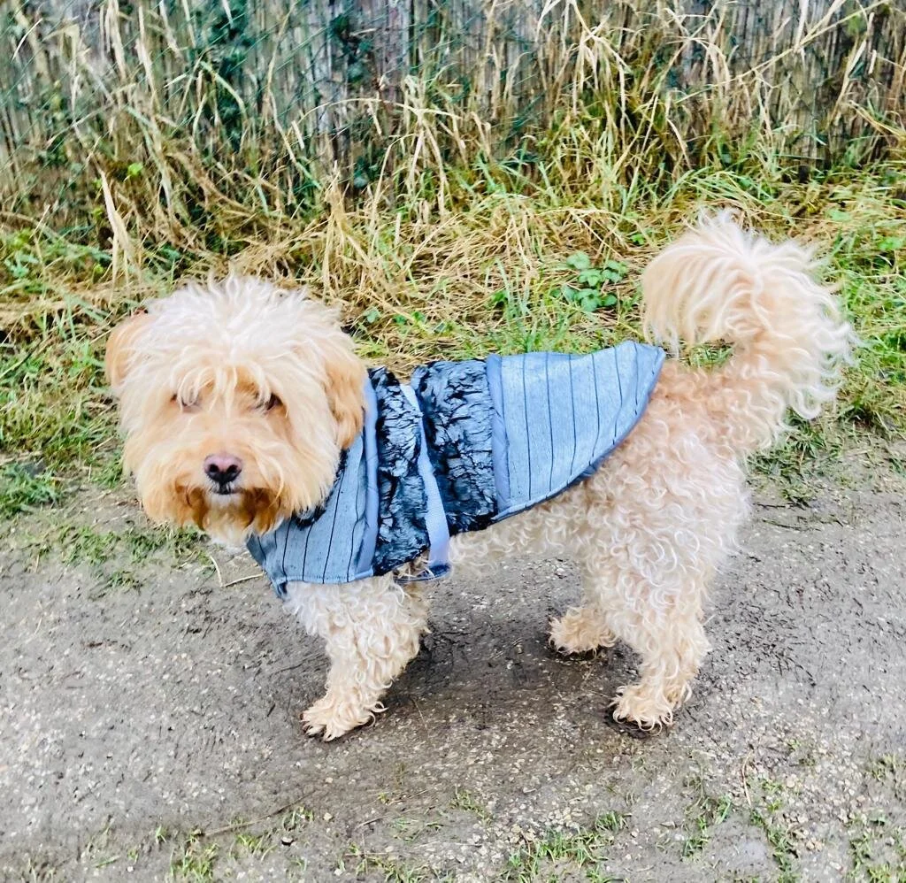 Hundemantel aus verschiendenen Stoffen und unechten Pelz grau.jpeg