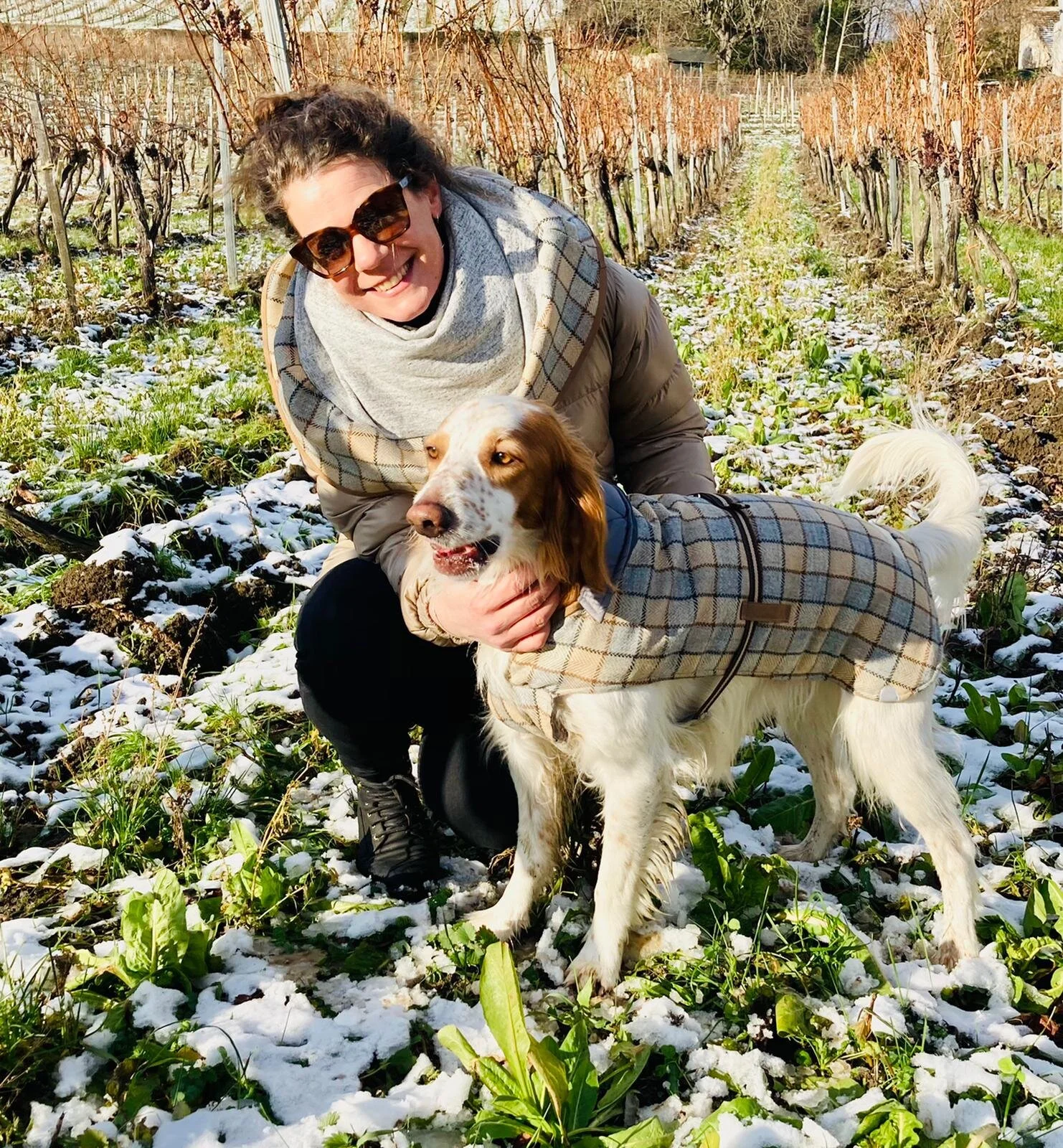 Partnerlook Hundejacke und Damenschal 100% Tweed Wolle.jpeg