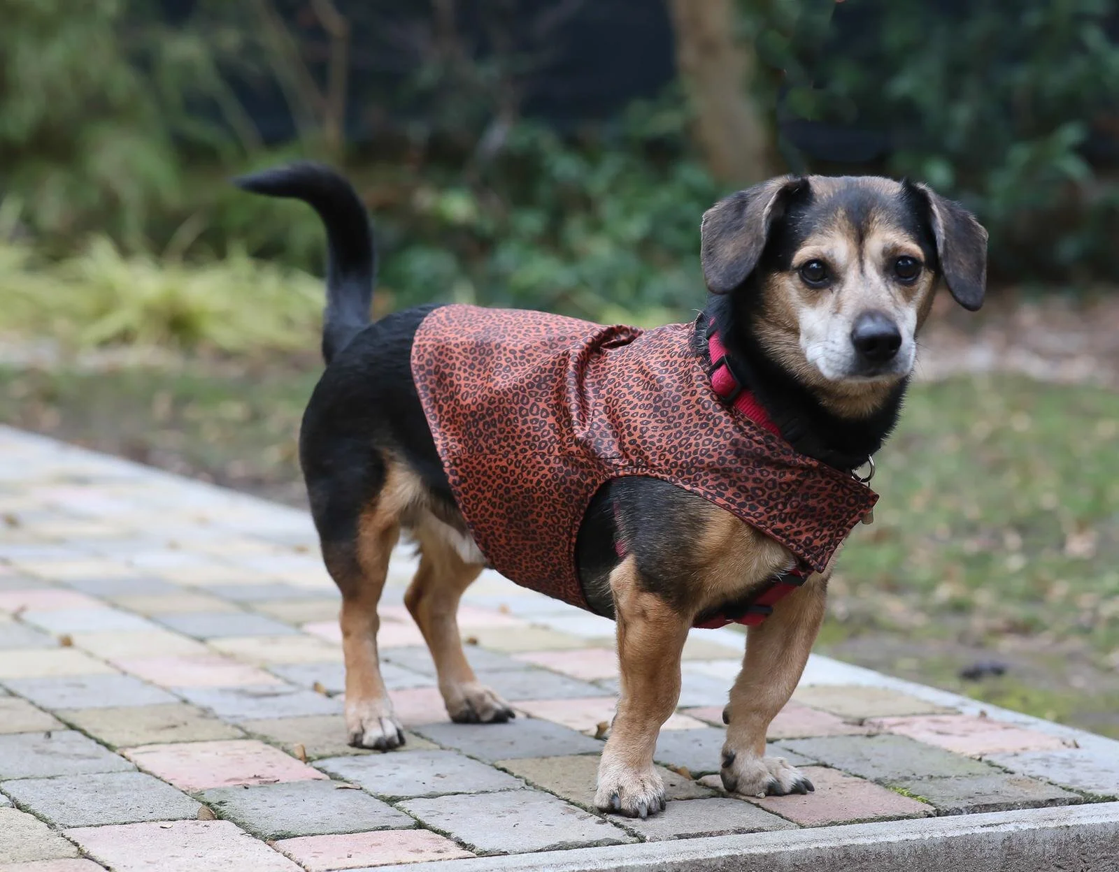 B54AC125-713A-4A9A-A99E-3EA157025477