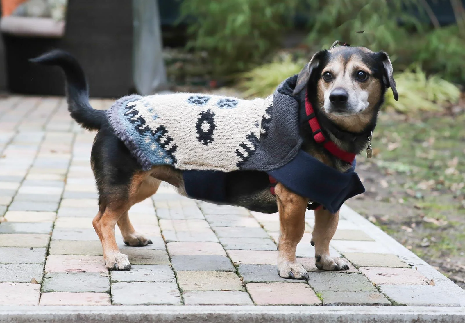 B4252ACD-5CBF-4B5B-BC8C-566F26D432F0