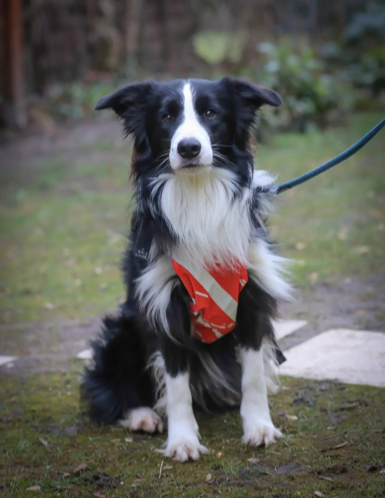 3499040F-8A32-4D67-A757-6C0FC8EEF3C4