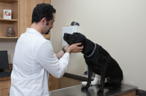 dr johns veterinary clinic