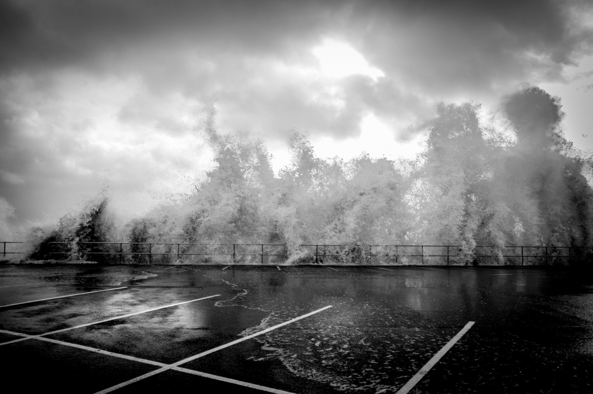 DSC_0173.jpg