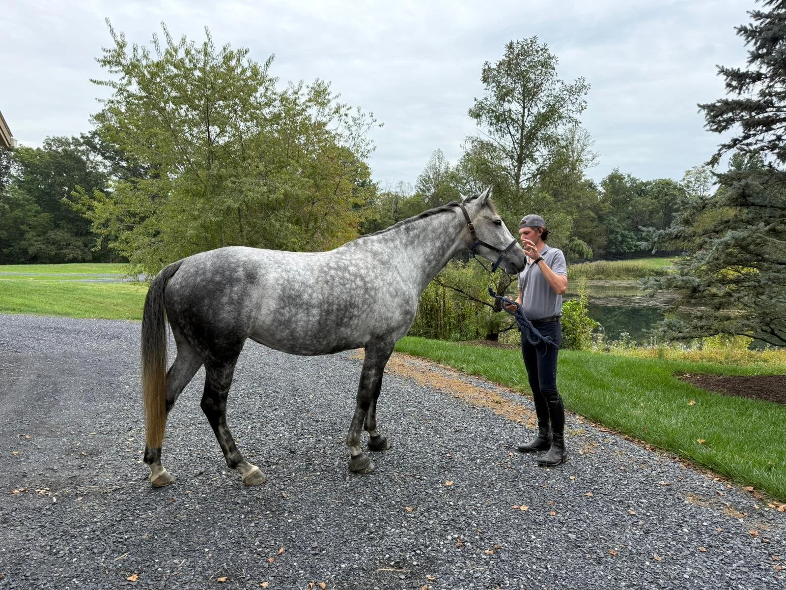 WhatsApp Image 2025-09-27 at 11.47.51.jpeg