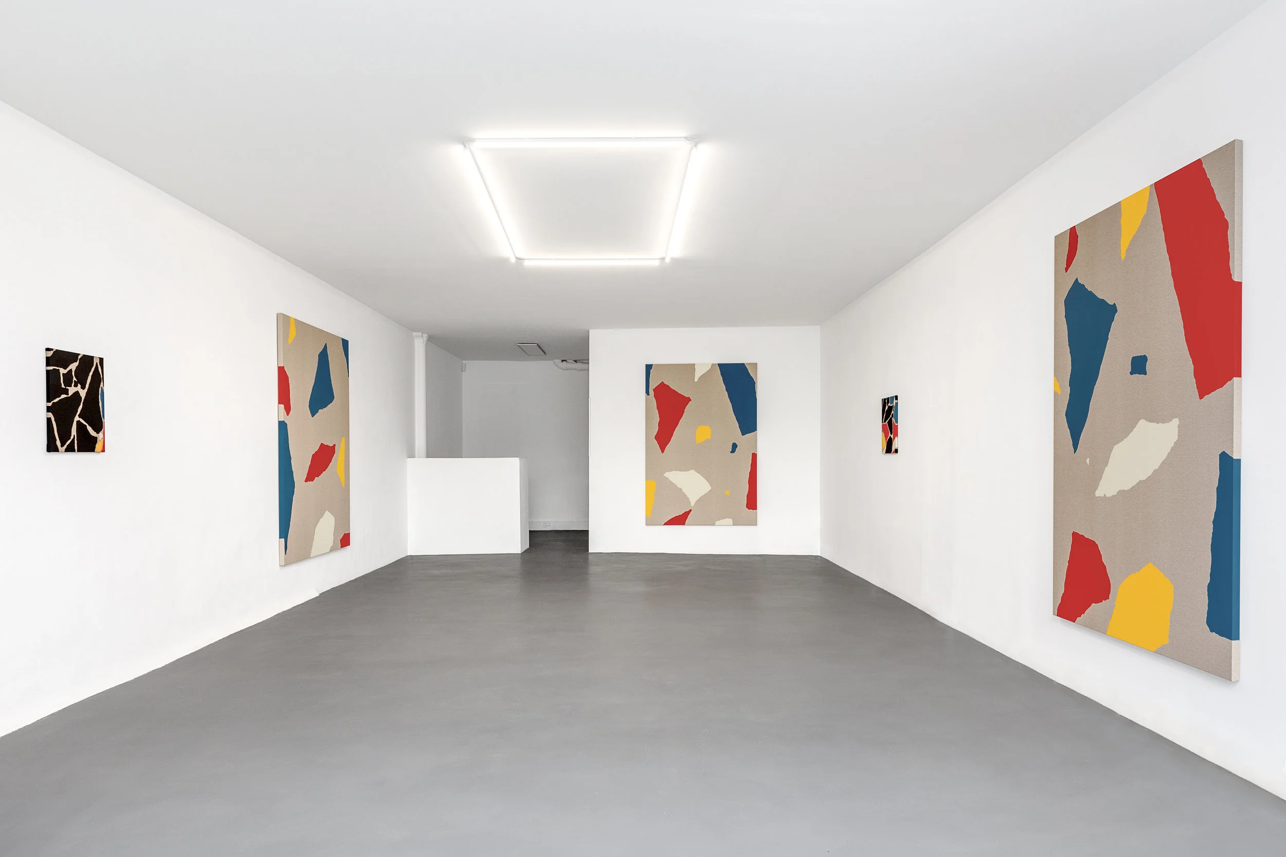Installation view Mindlessness , The Dot Project at PRISME, Paris, London.