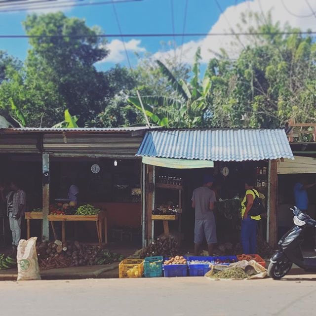 Shopping for sancocho ingredients (a comfort soup native to the island) at a Yamasa market. As heir to my parents farm, I am realizing that my ideas of balance and space are not sustainable here. The cultural expectations of feeding family, relatives