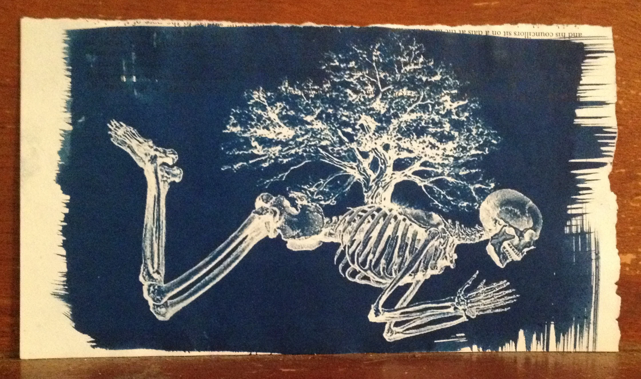  cyanotype on found paper. 8 x 5"  