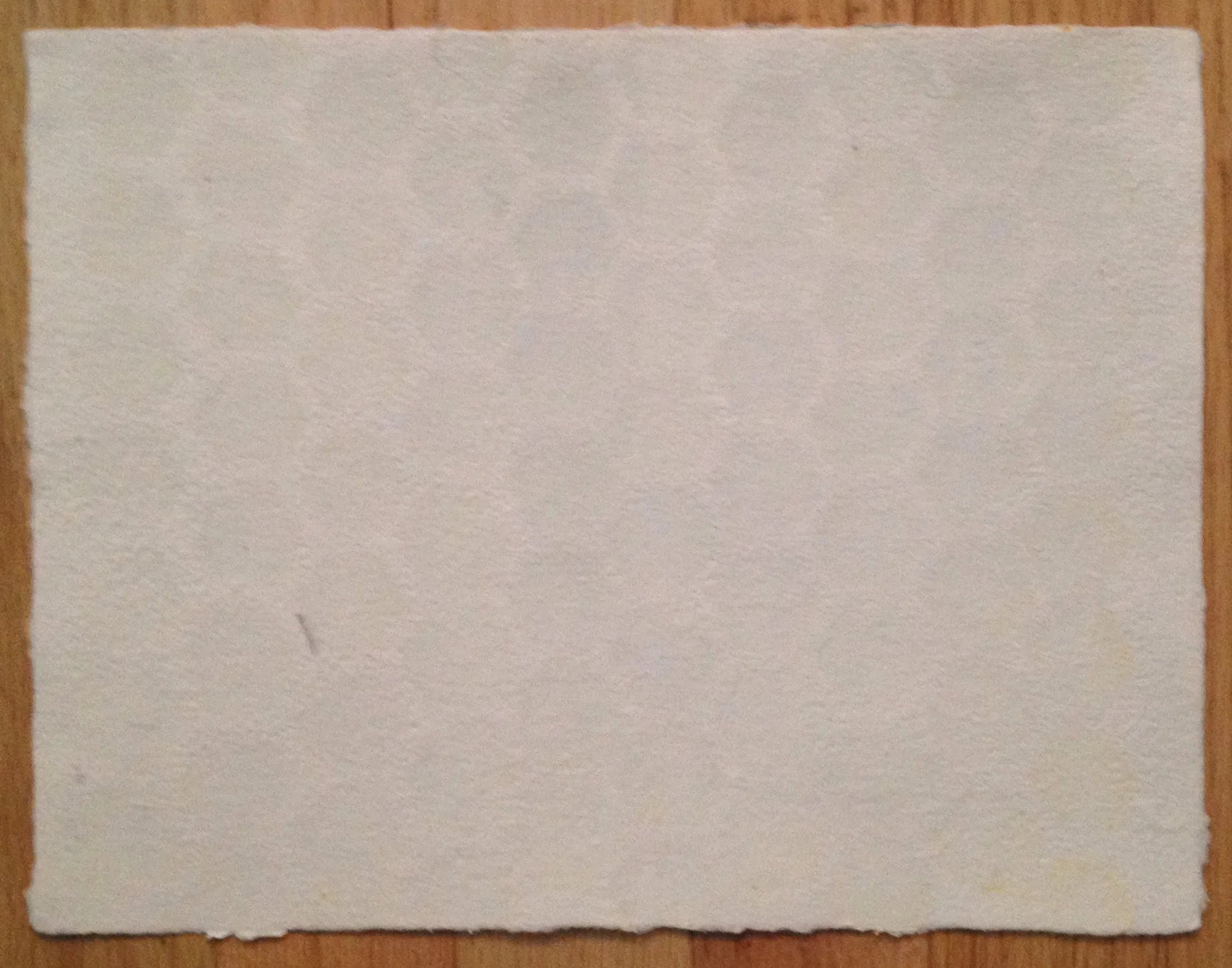  handmade linen paper. 12 x 9"&nbsp; 