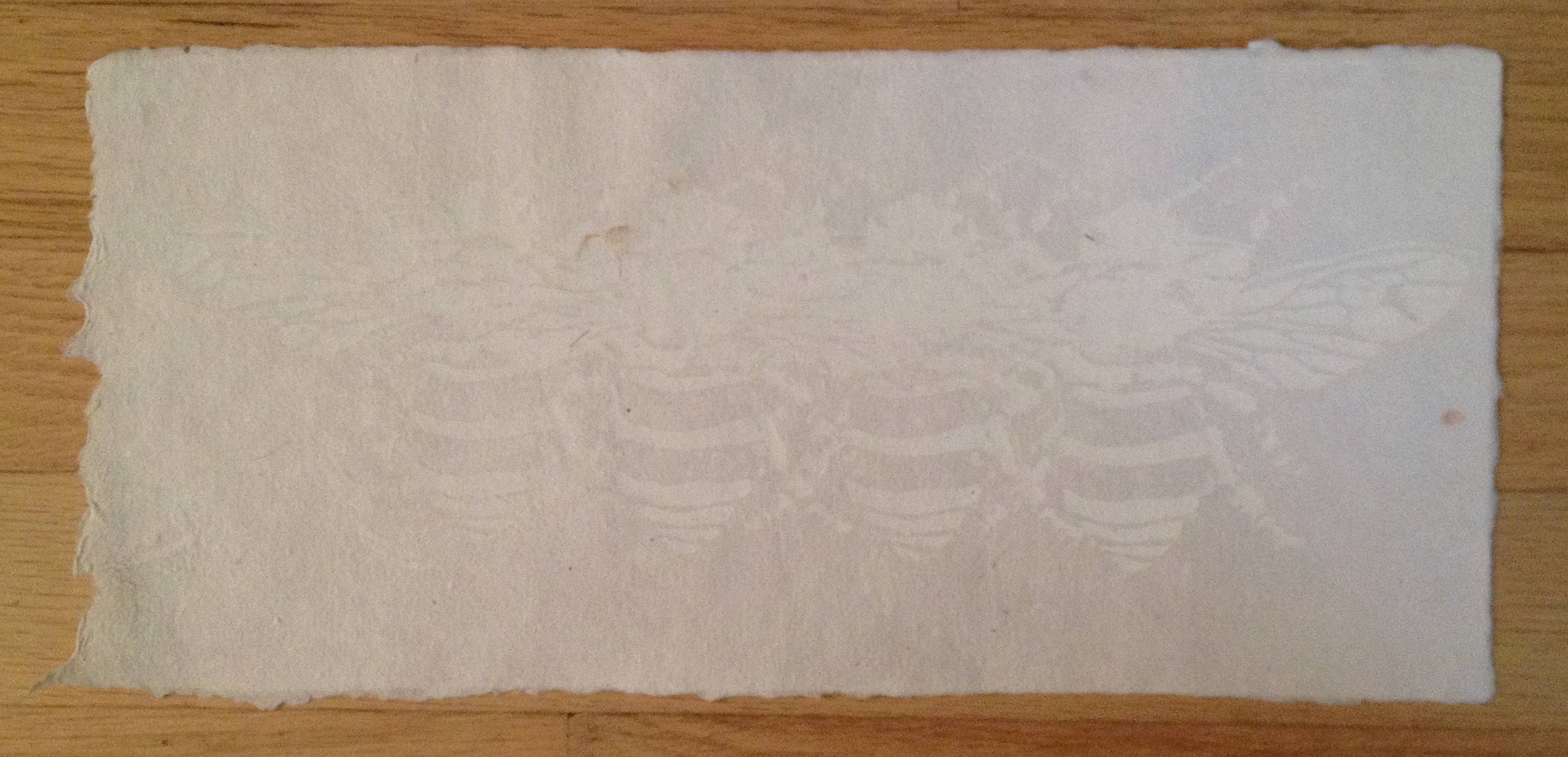  handmade linen paper. 12 x 5"&nbsp; 