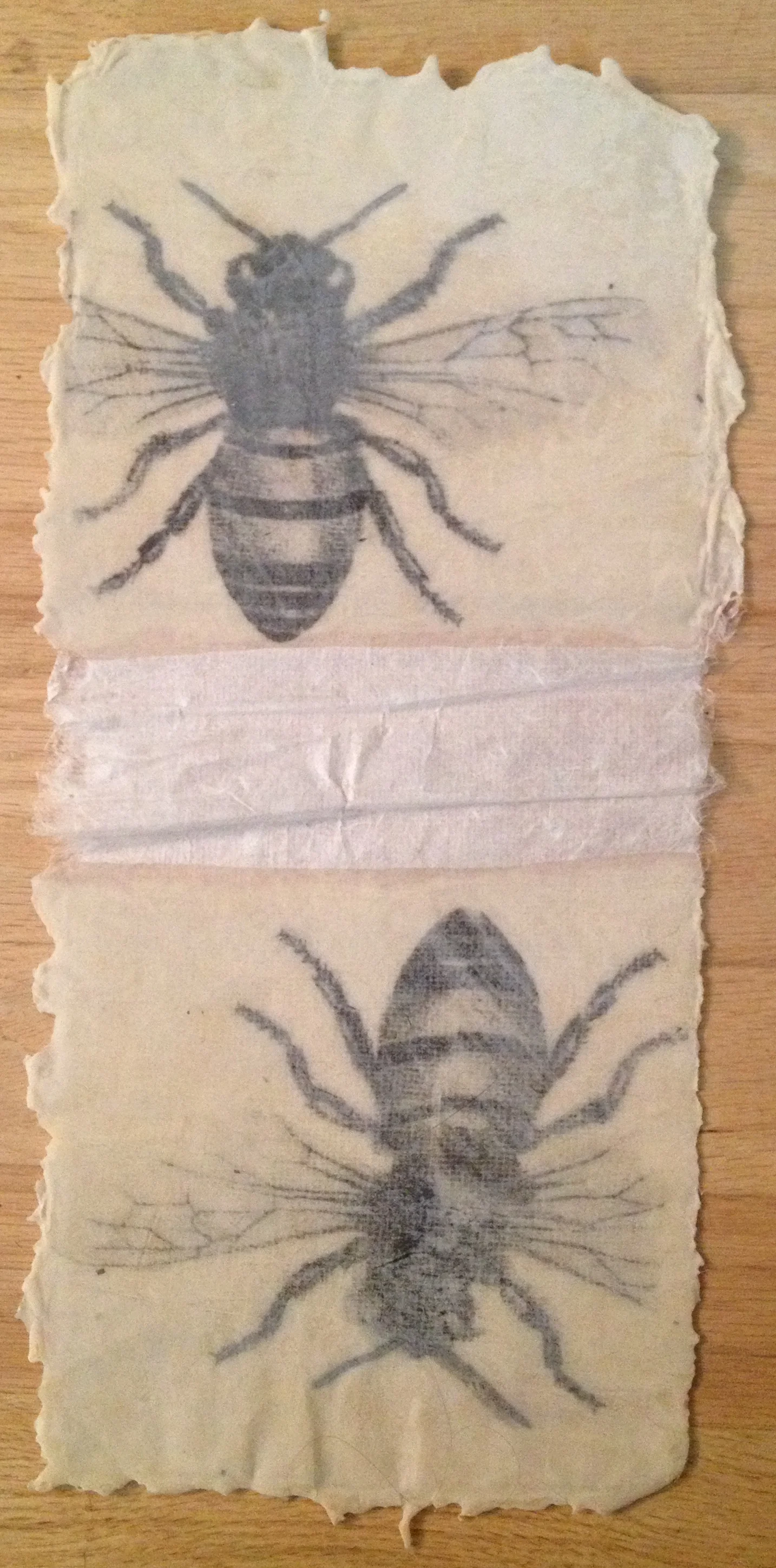  handmade kozo paper, beeswax. 5 x 12"  &nbsp; 