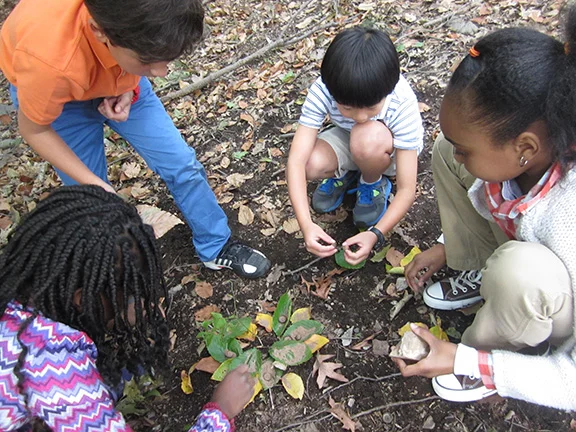  Hackley Lower School Mandala Project in the woods. Inspiration: Andy Goldsworthy. 