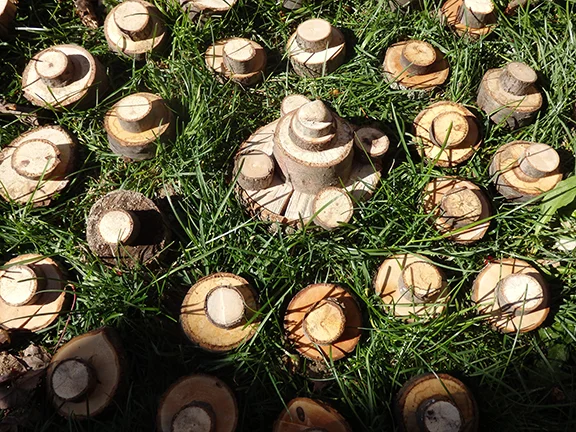 PA270017.jpg