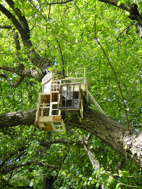 treehouse.jpg