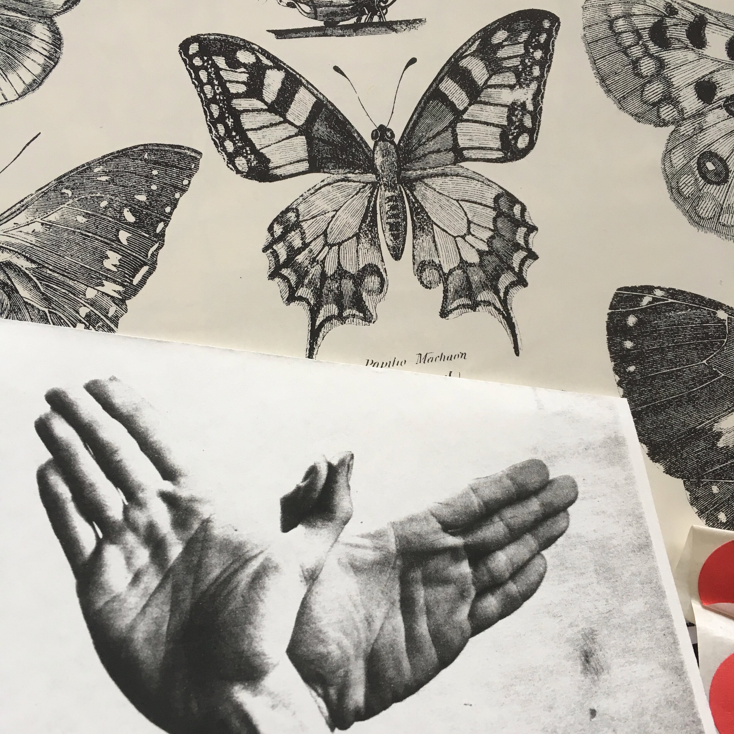 On leaping before testing the wind.