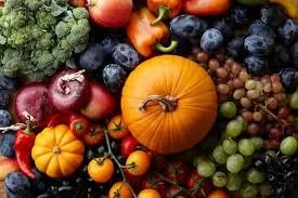 Fall Seasonals Launch
