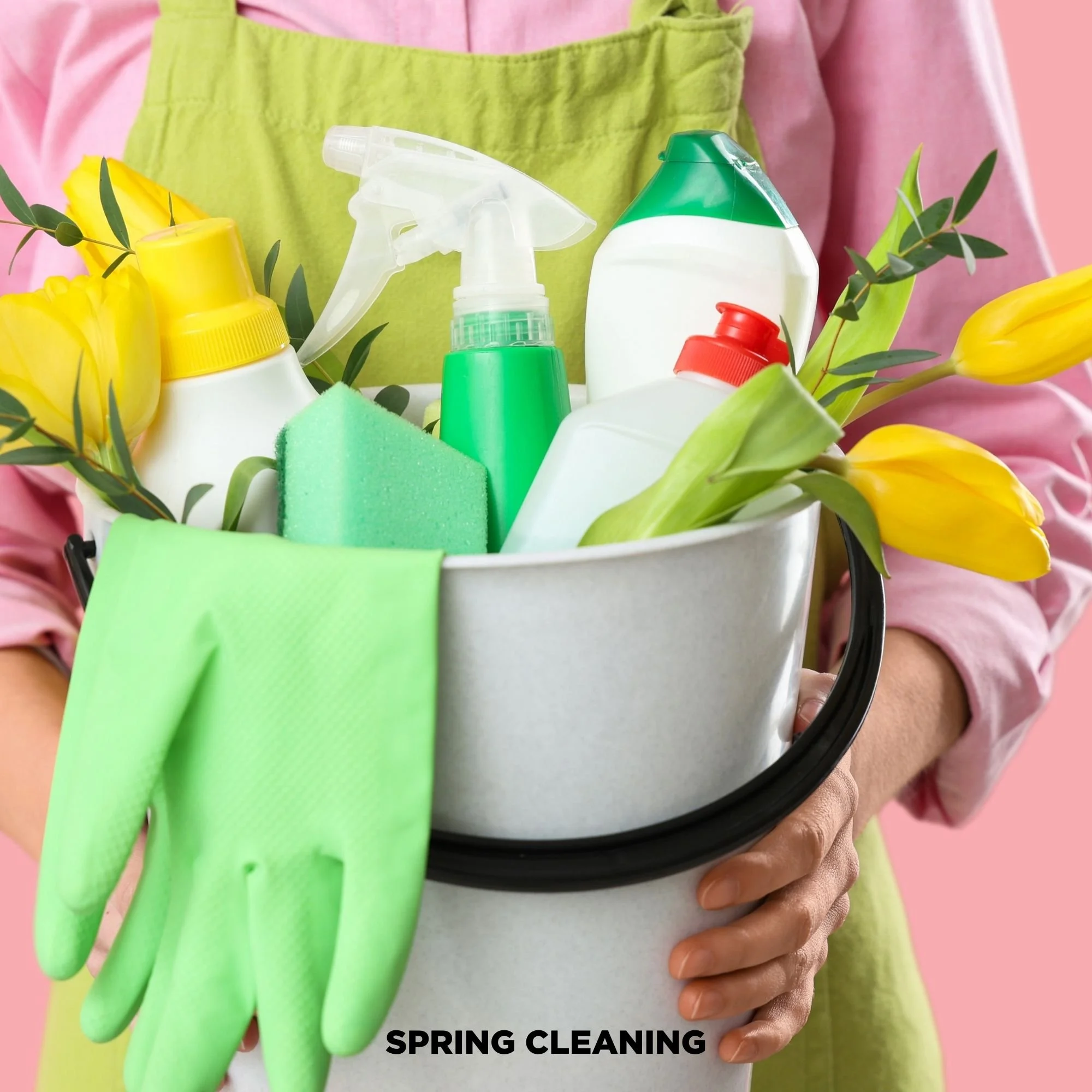 CLOSED | Spring Cleaning