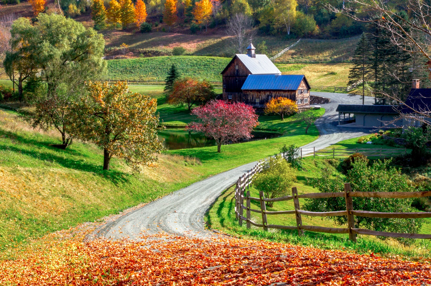 tw_landscape02.jpg