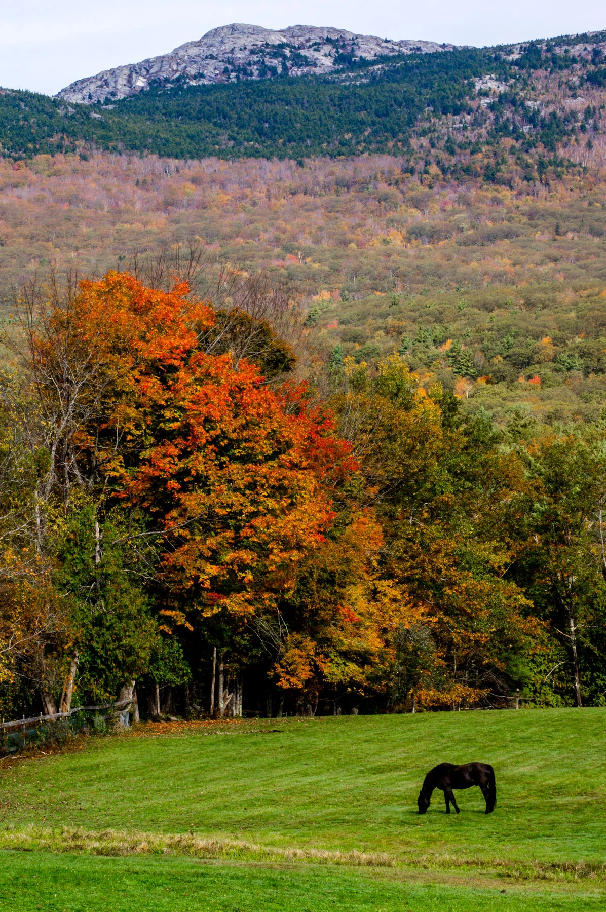 tw_landscape09.jpg