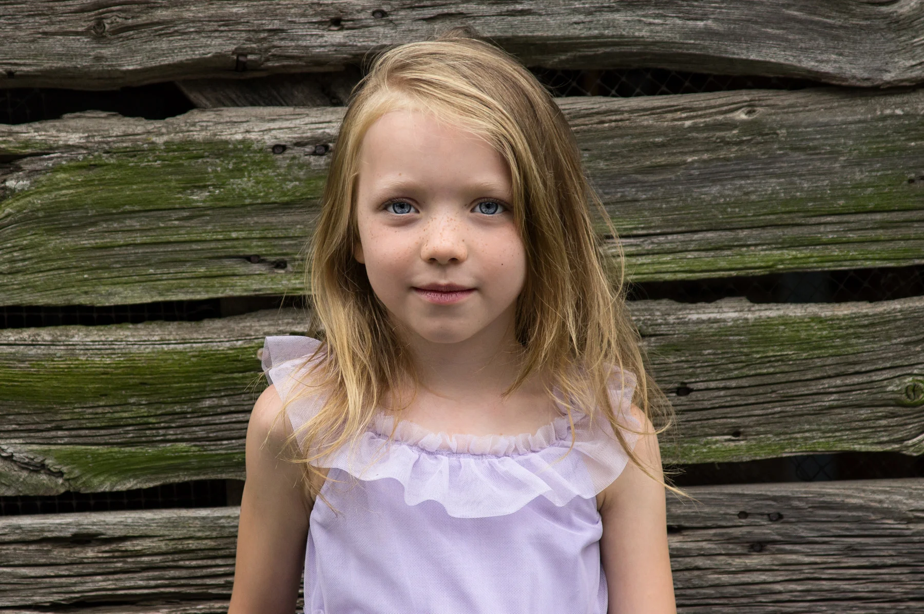 Layla-wood-fence2.jpg