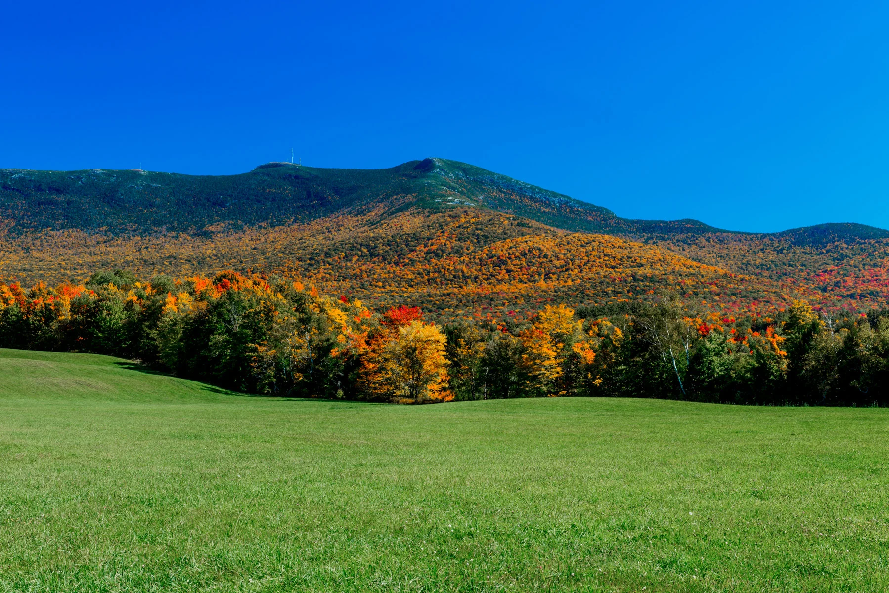 DSC_2825d.jpg