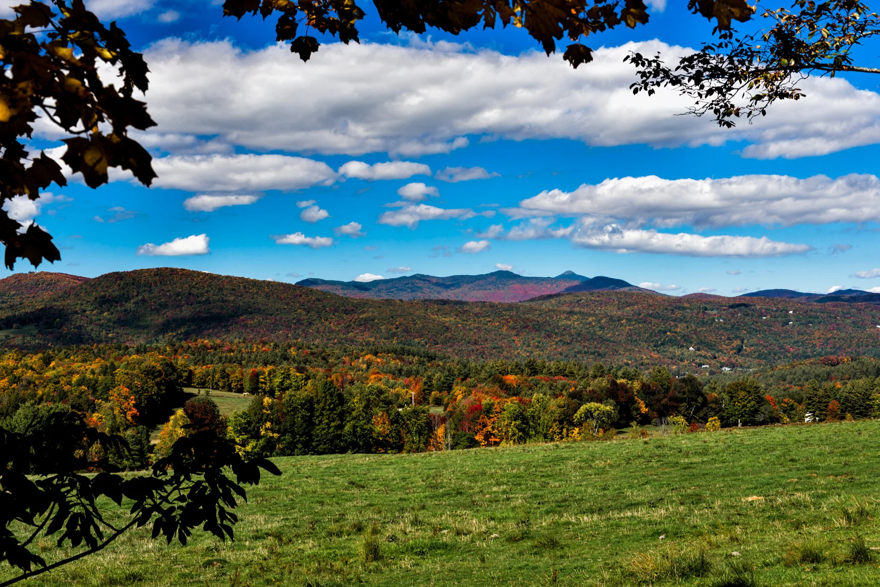 DSC_2784d-Edit.jpg