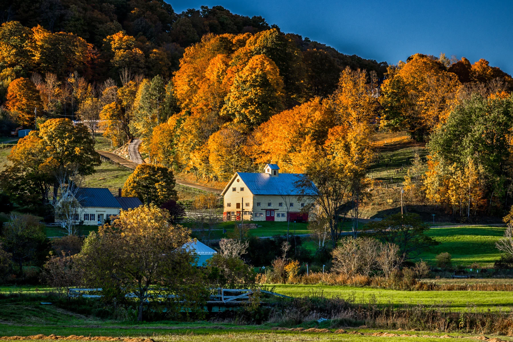 DSC_2849d-Edit.jpg