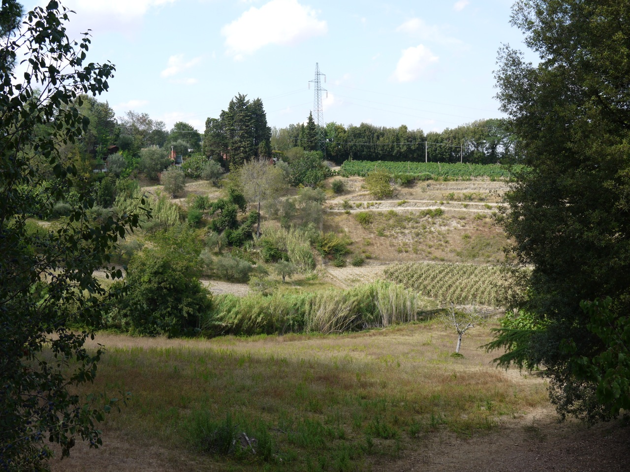 P1010122.jpg