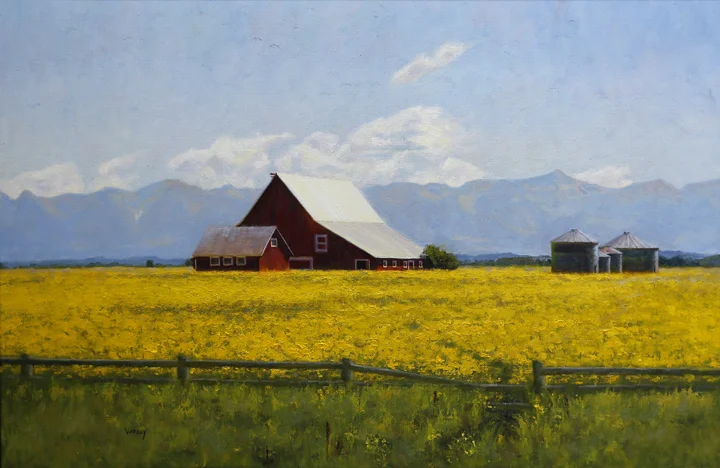 Canola Fields.jpg