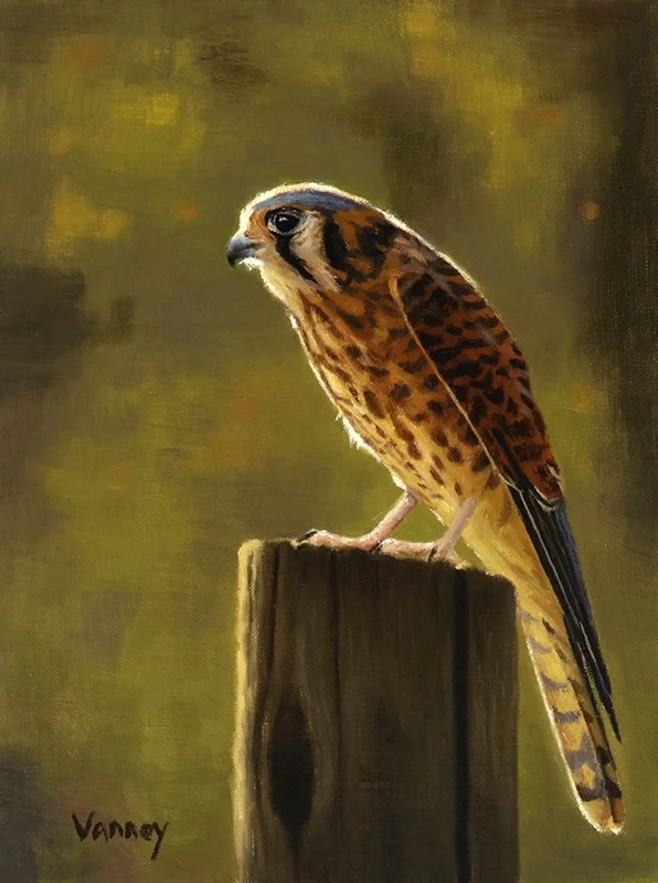 9x12, oil on linen panel