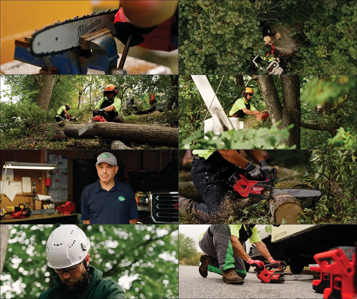 Joshua Tree Banner.jpg