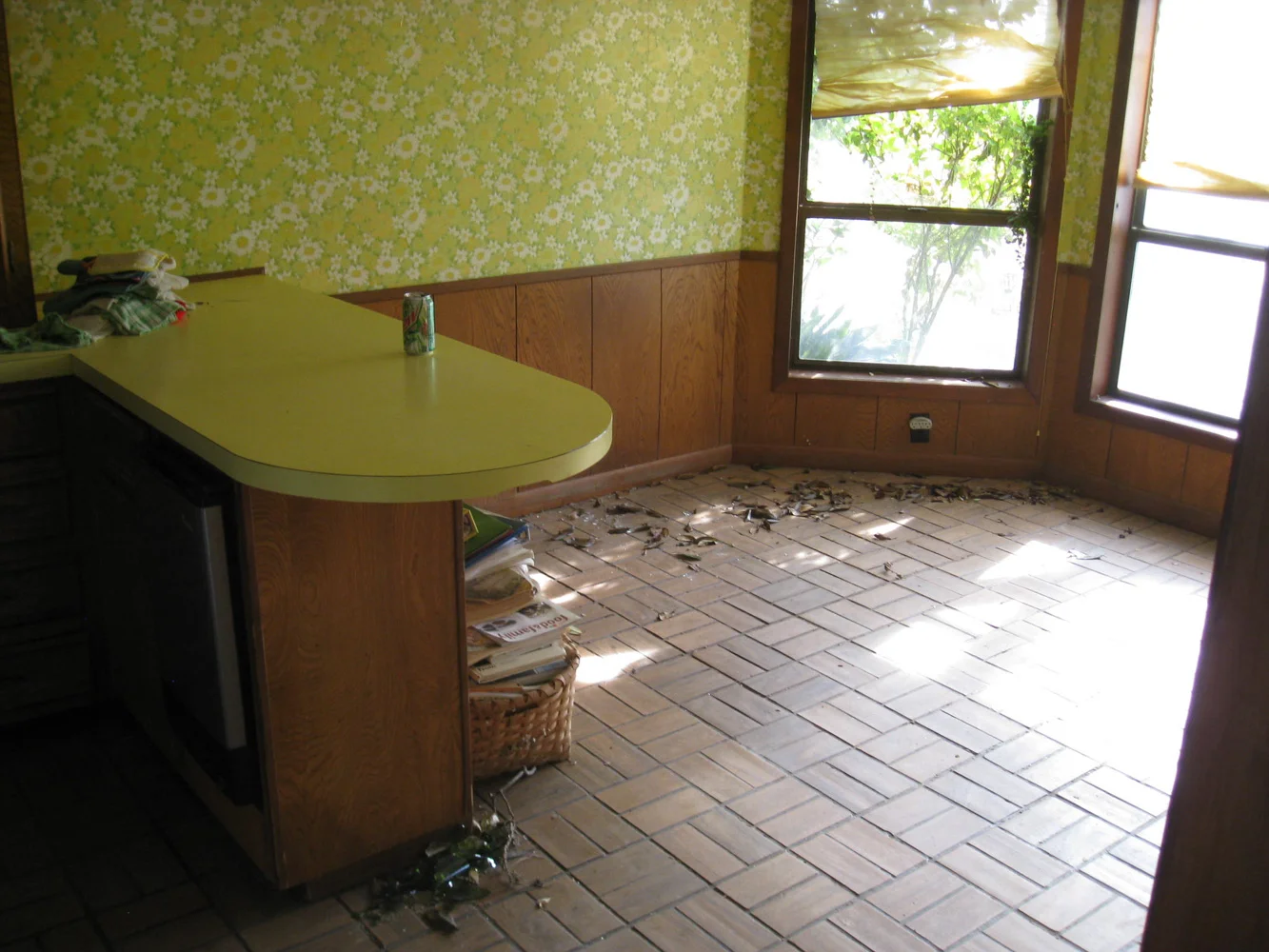 Kitchen Remodel - 1