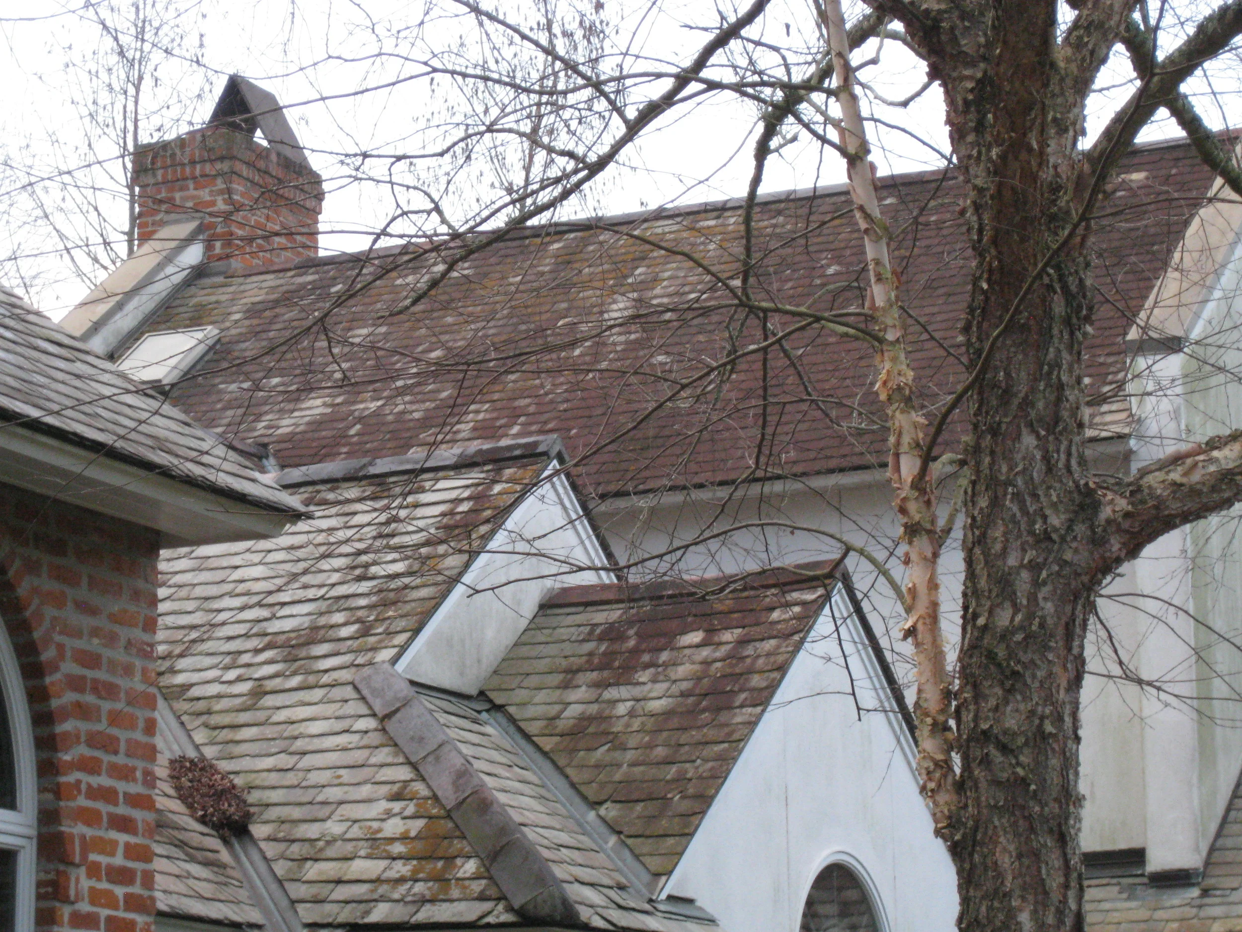 Roof Repair 1