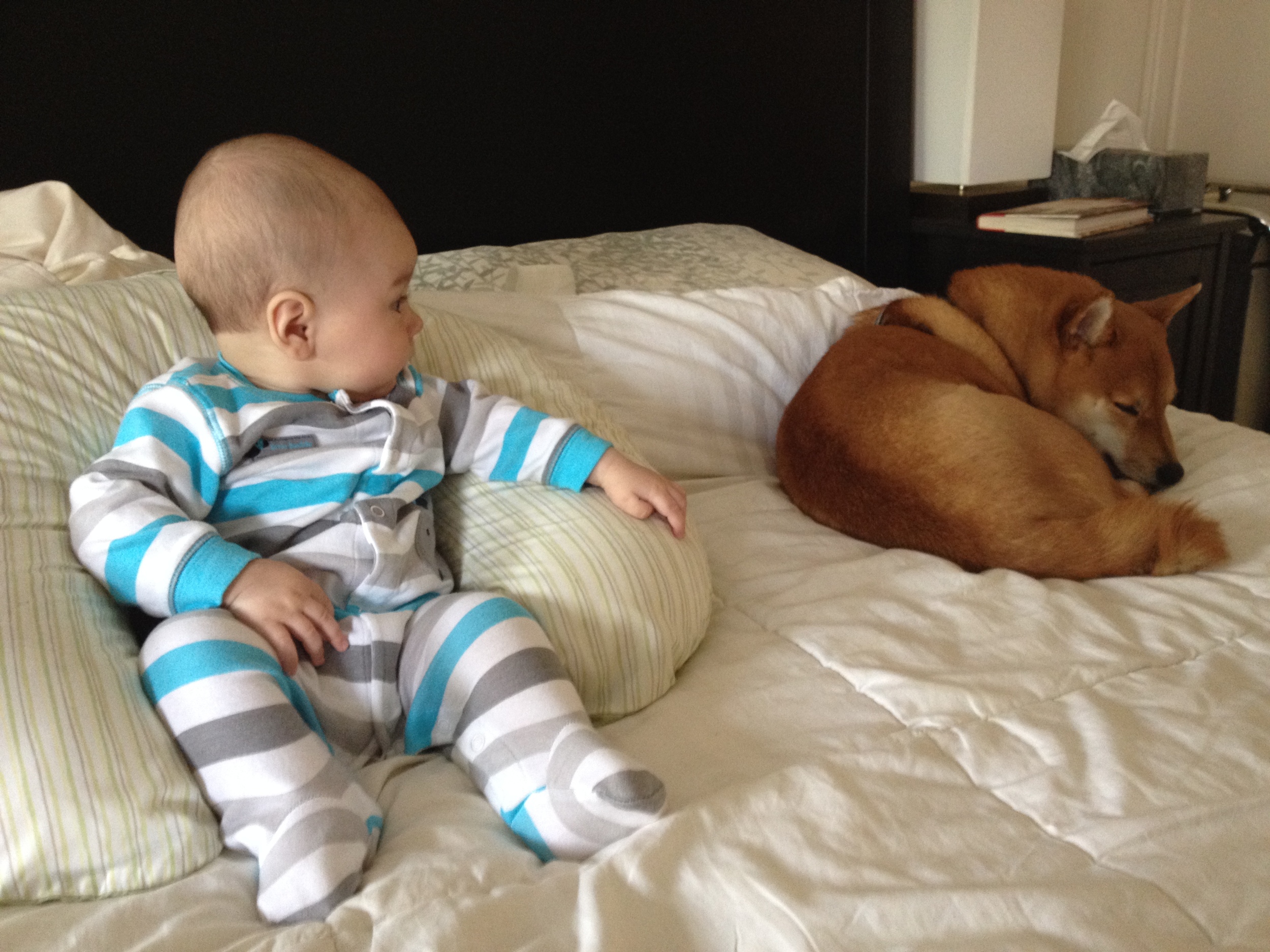 2014-04-14 15.59.30.jpg