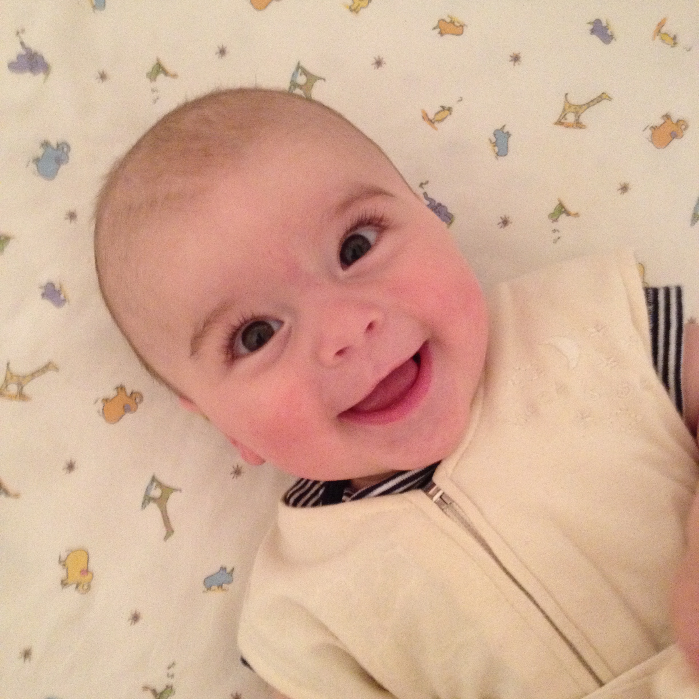 2014-05-01 15.20.14.jpg