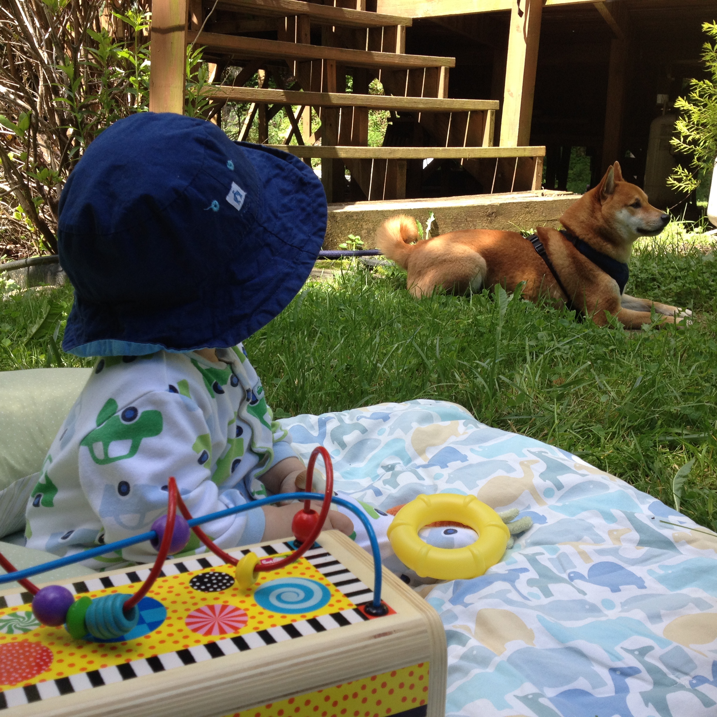 2014-06-15 11.00.42.jpg