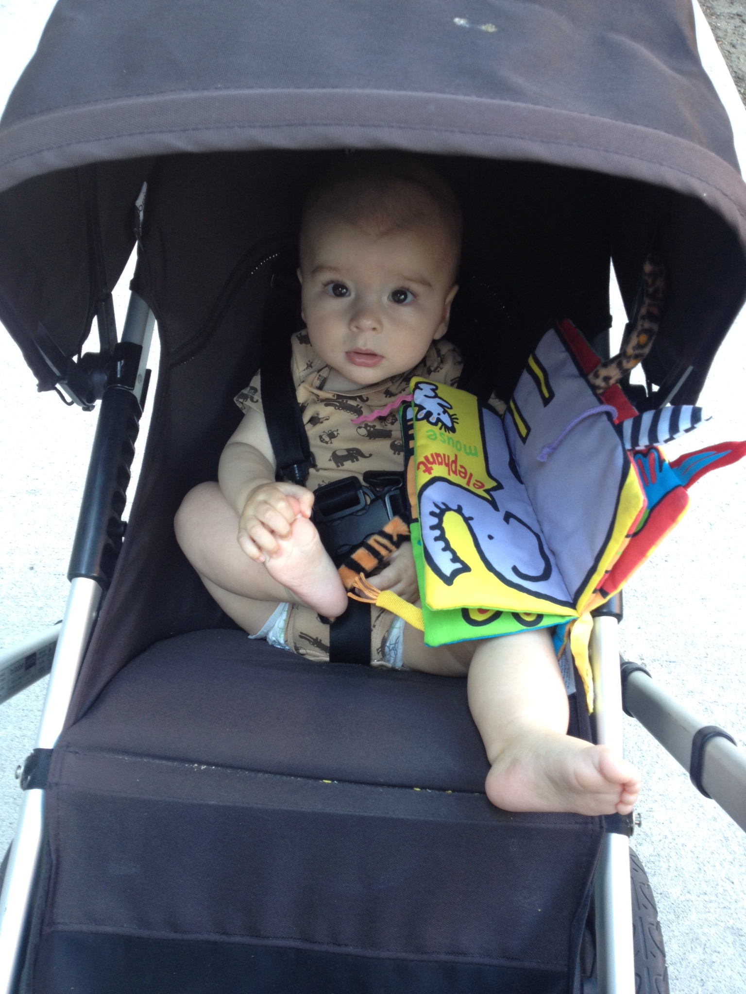 2014-06-30 16.09.00.jpg
