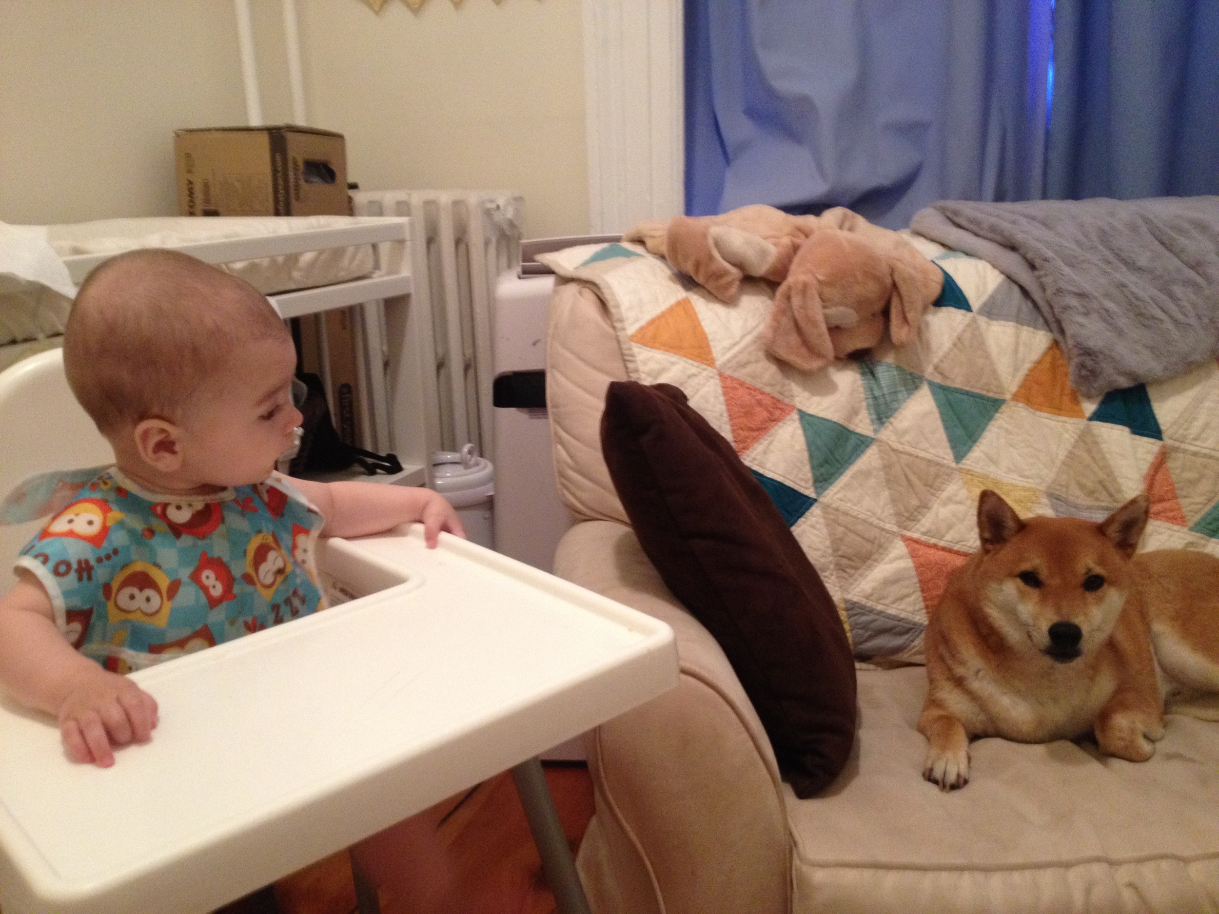 2014-07-02 14.37.14.jpg
