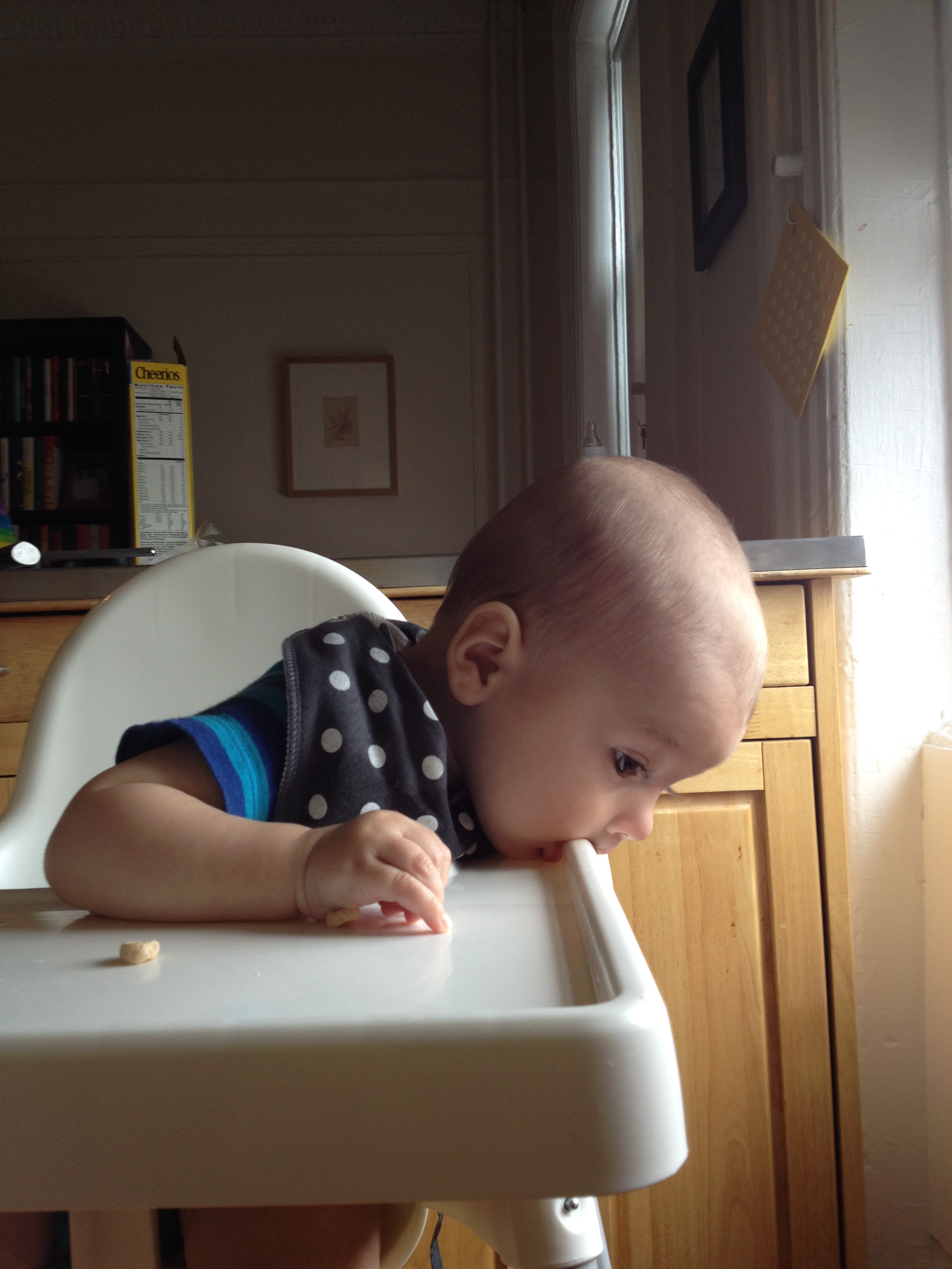 2014-07-20 12.45.33.jpg