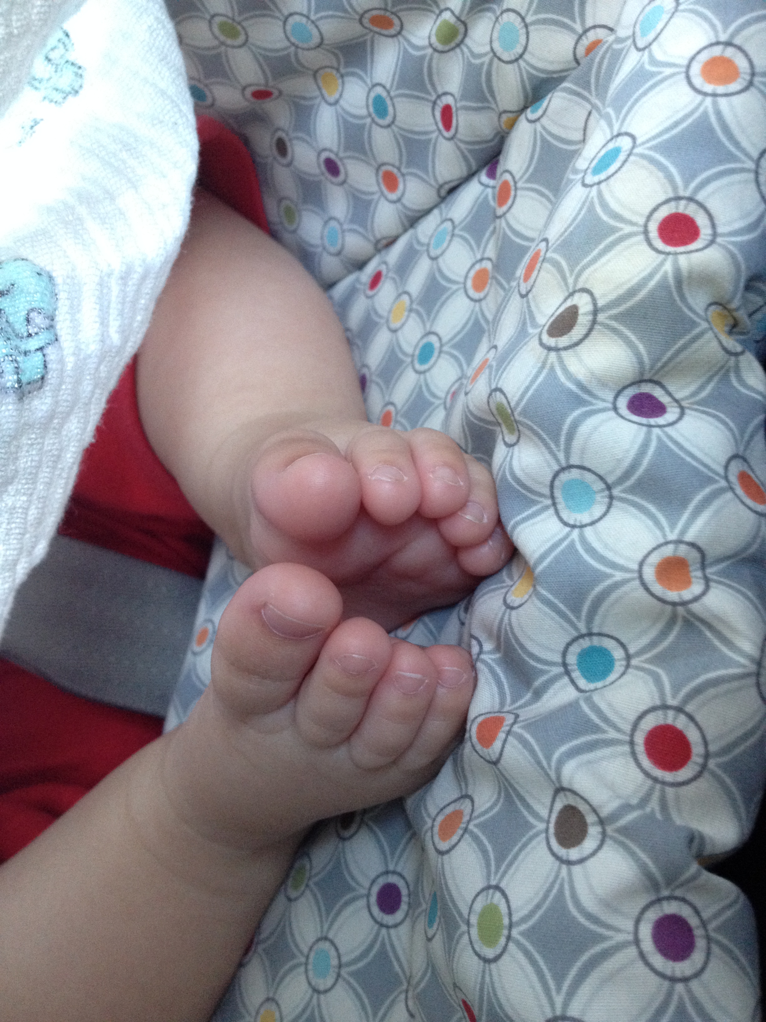 2014-07-06 13.38.20.jpg