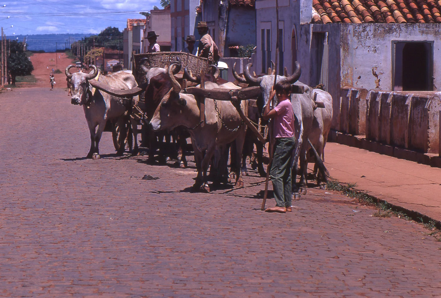 1500-Goias-Farmers1.jpg