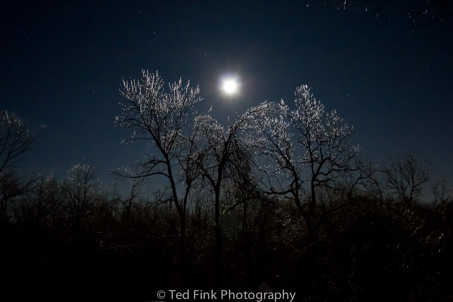 Ted-Fink-Landscapes-10.jpg