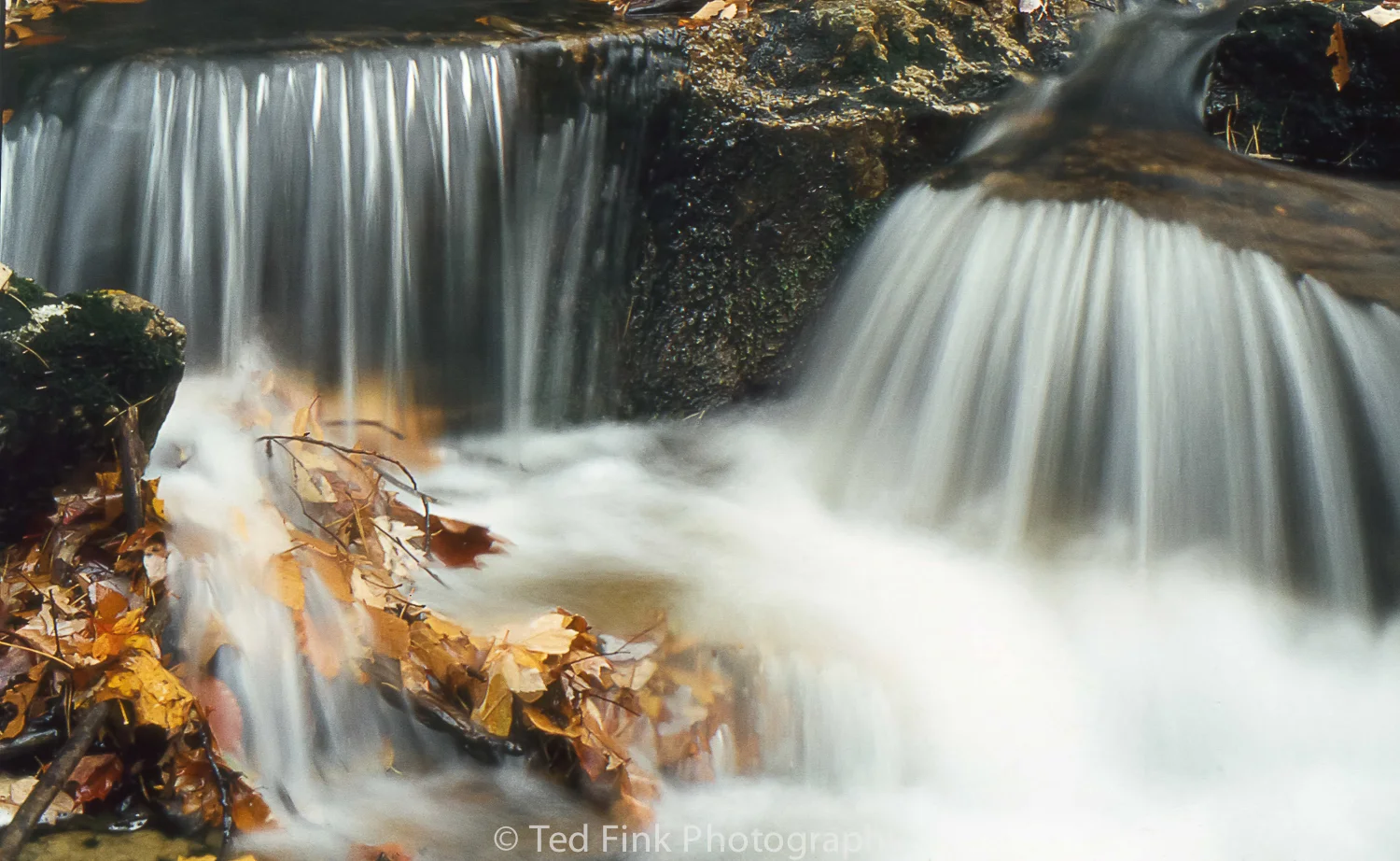Ted-Fink-Landscapes-19.jpg