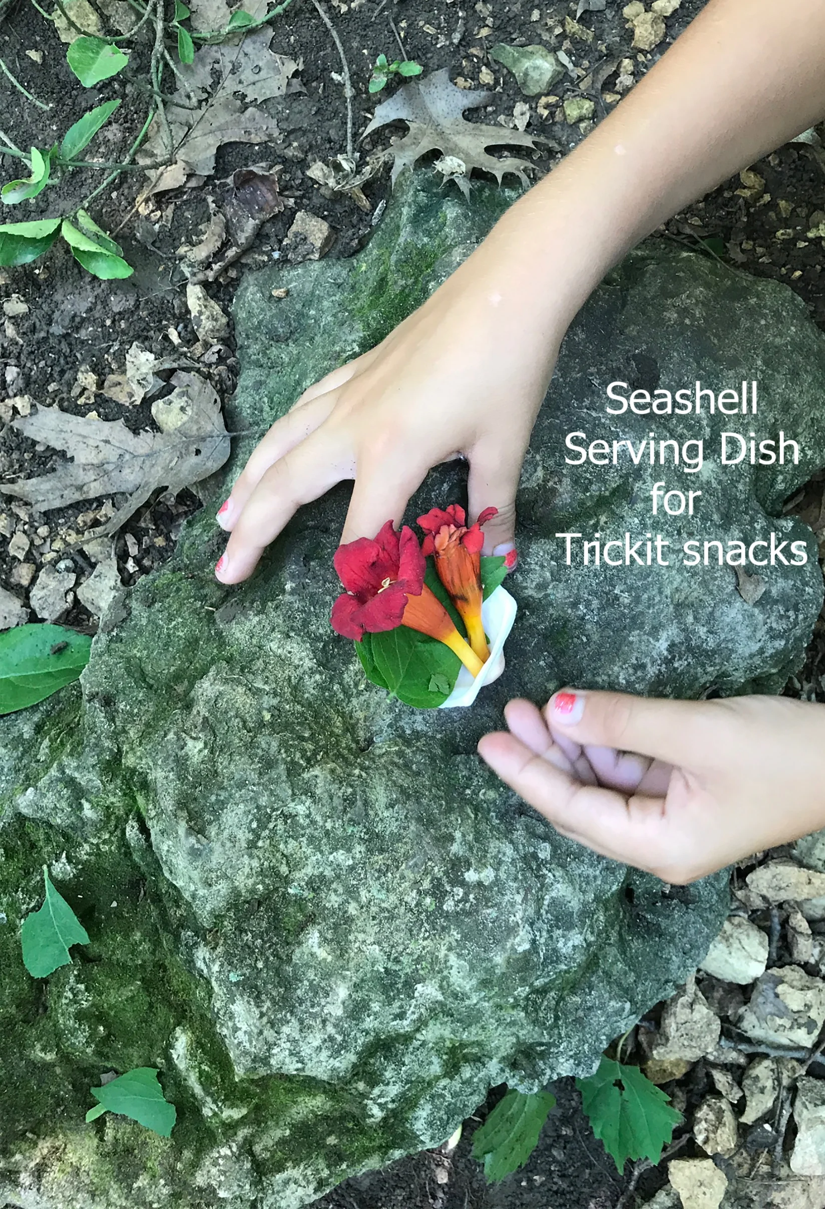 Sat Fin Salad.jpg