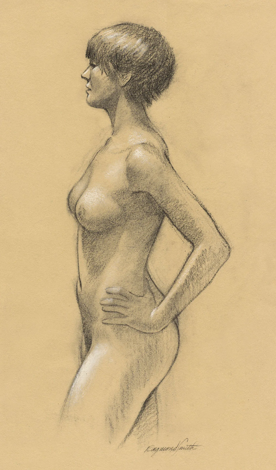    Faye   &nbsp;Pastel &amp; Charcoal &nbsp;&nbsp;17" X 22"&nbsp; 2014 