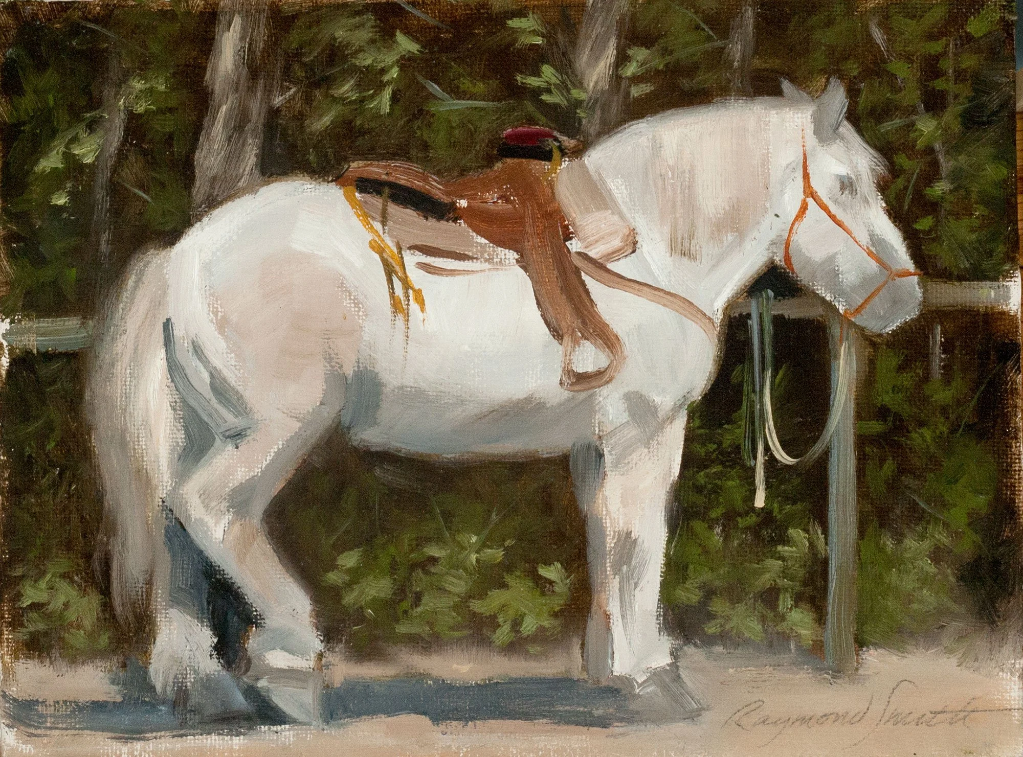    Klondike    6” X 8”  2021   