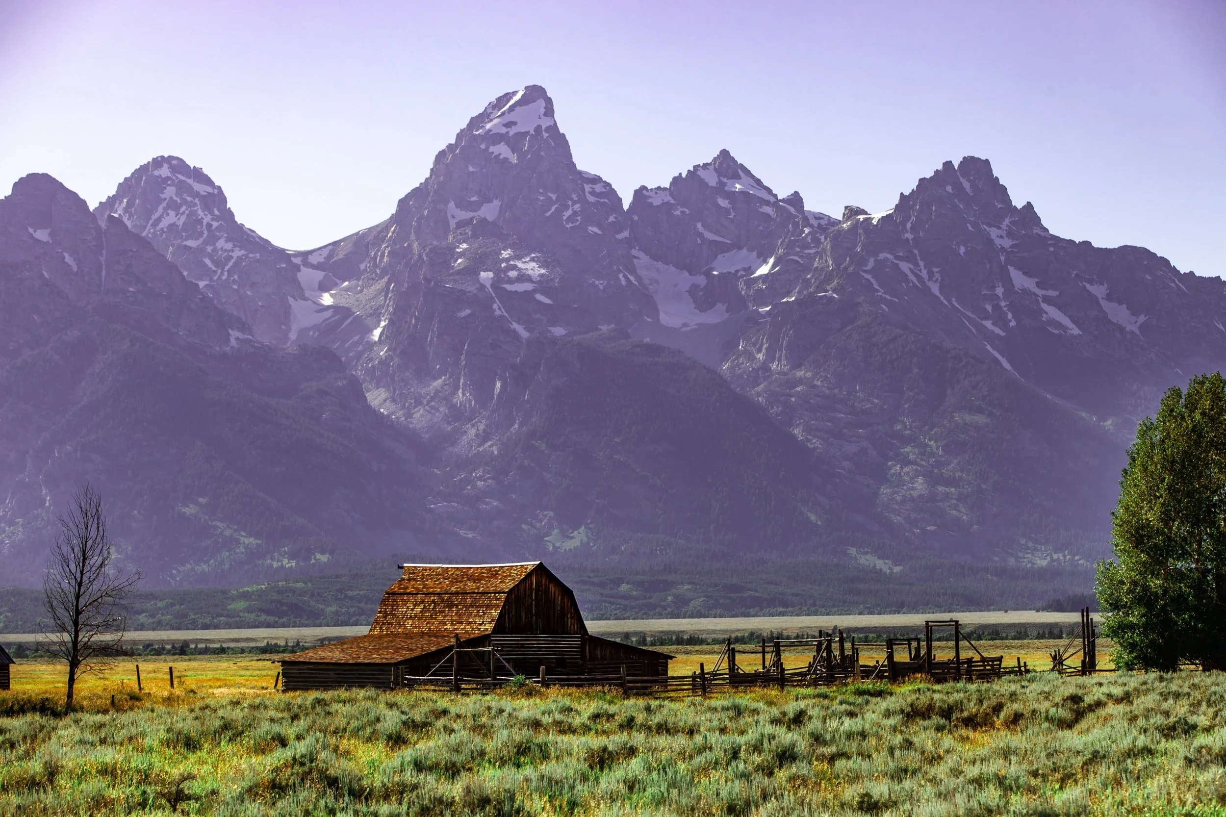 EP2018 Kent Potter Images July 2018-9212.jpeg