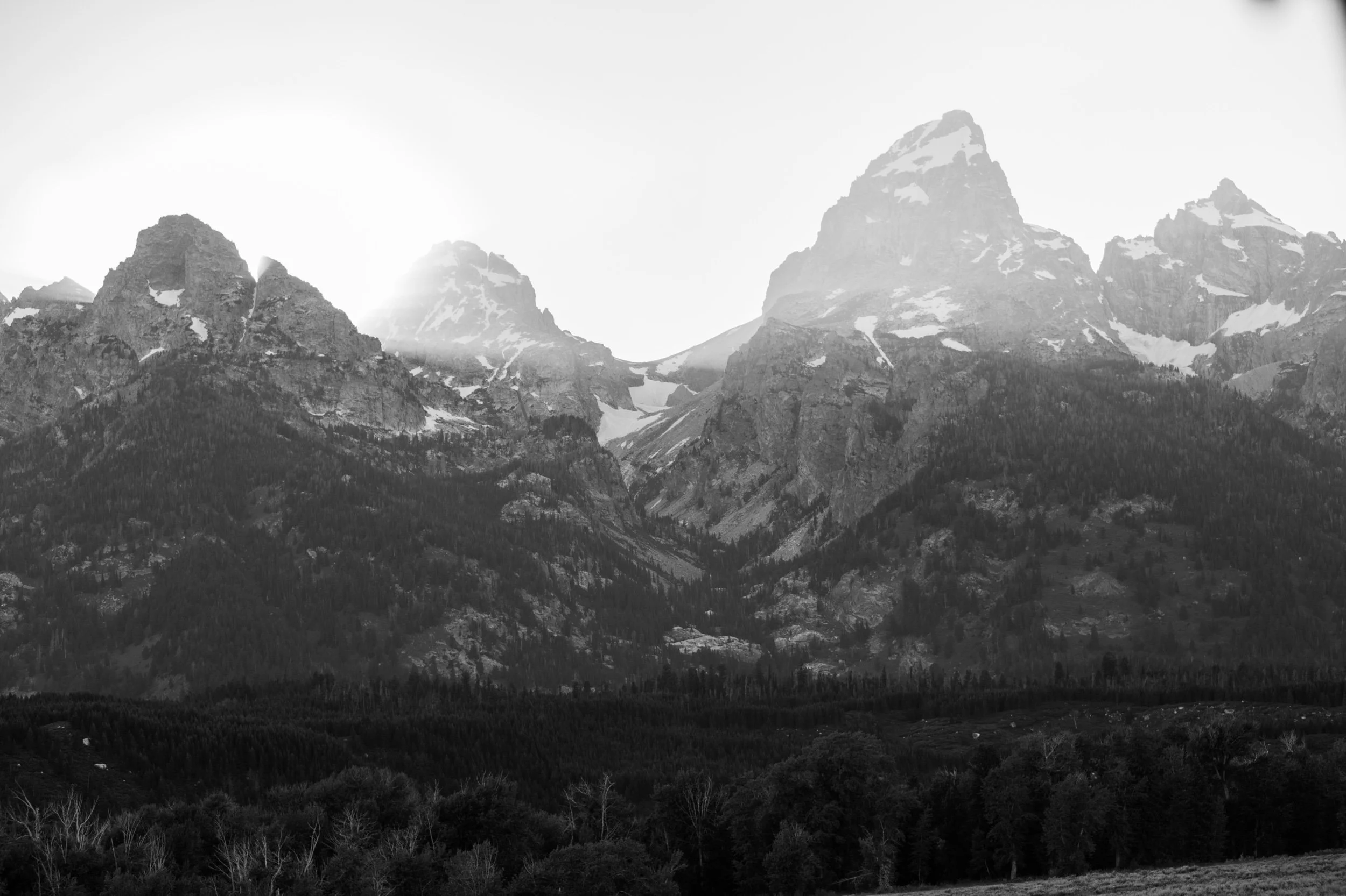 EP2018 Kent Potter Images July 2018-9347.jpeg