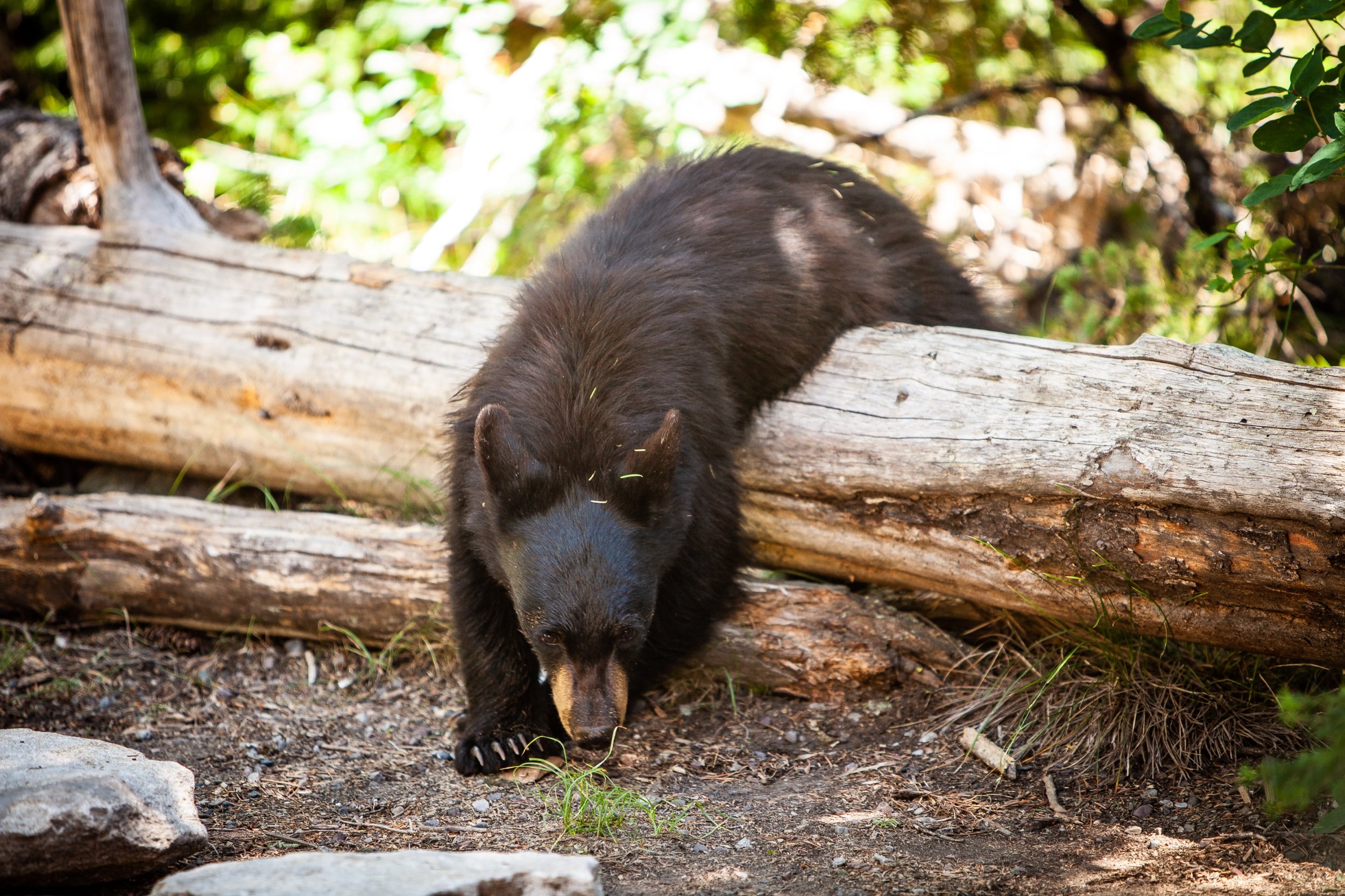 EP2018 Kent Potter Images July 2018-9191.jpeg