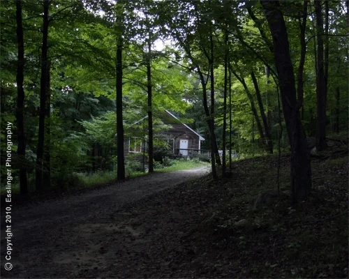 WYC_Enlightened_Path.jpg