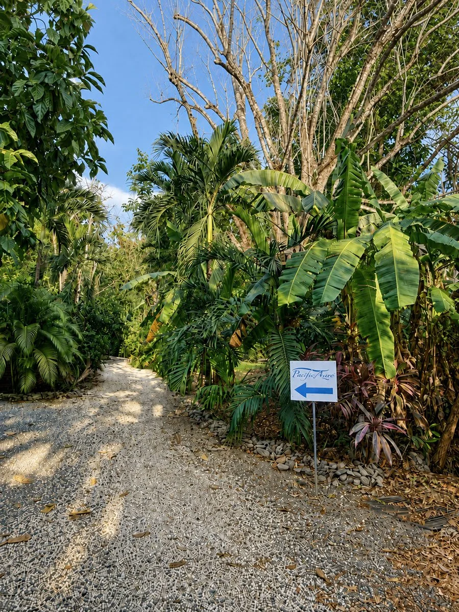 Tropical gravel driveway entrance with Pacific Azure sign surrounded by lush greenery in Mal País, Costa Rica.